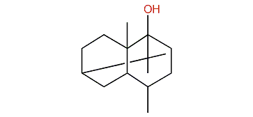 4,8alpha,9,9-Tetramethyldecahydro-1,6-methanonaphthalen-1-ol